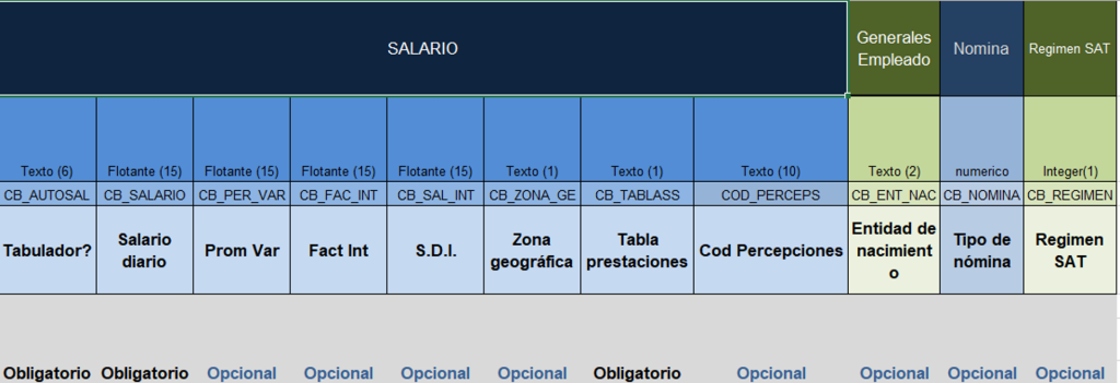Ejemplo de estructura del formato para el proceso simplificado de Alta: Datos de salario.