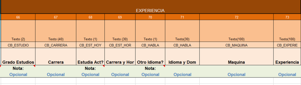 Ejemplo de estructura del formato para el proceso completo de Alta: Datos de experiencia.